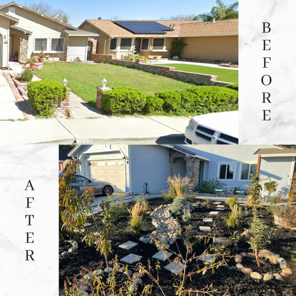 Before and after of a yard transformation from grass to a landscaped garden with plants and stepping stones.