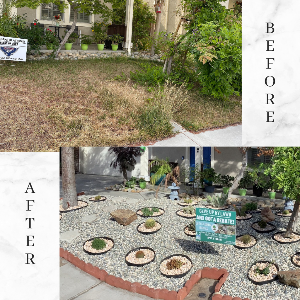 Lawn transformation: Before - patchy and overgrown. After - landscaped with rocks and plants.