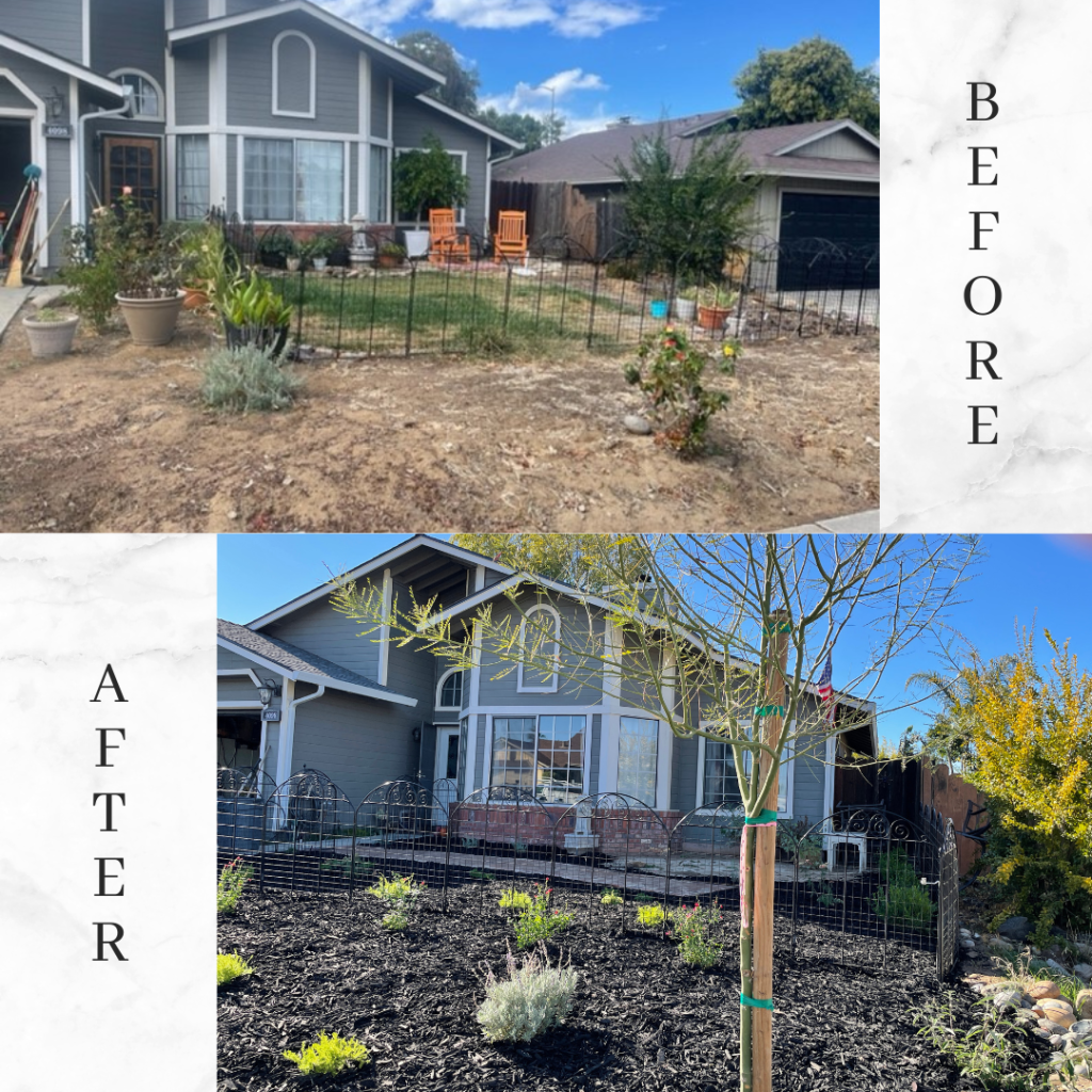 A house front yard makeover: before with patchy grass, after with mulch, a new tree, and plants.