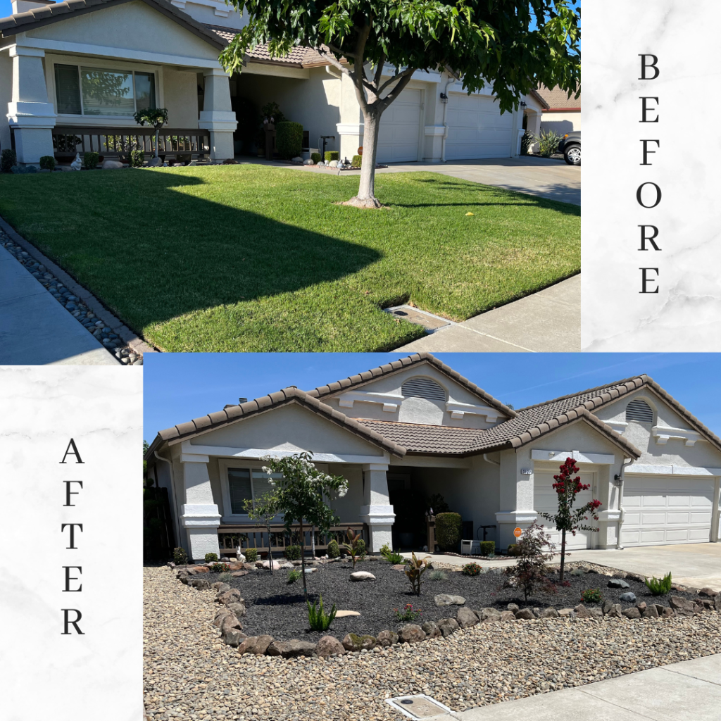 Before-and-after of a front yard: lush grass to rock landscaping with plants and trees.