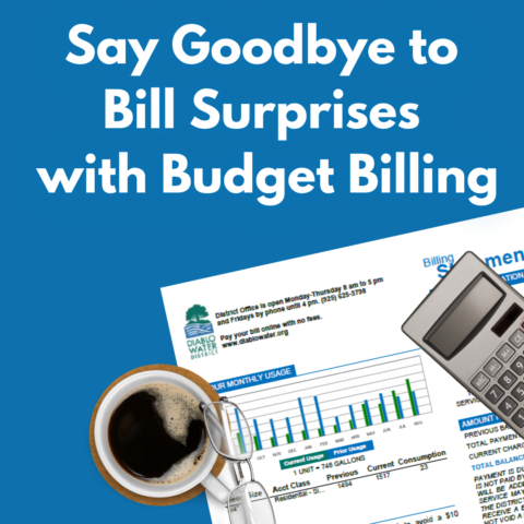 Coffee, glasses, a calculator, and a billing statement on a blue background with the text promoting budget billing to avoid surprises.