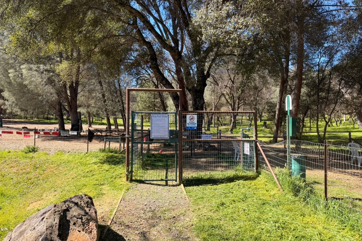 The image shows a gated dog park surrounded by trees, with signs indicating rules and a grassy area for dogs.