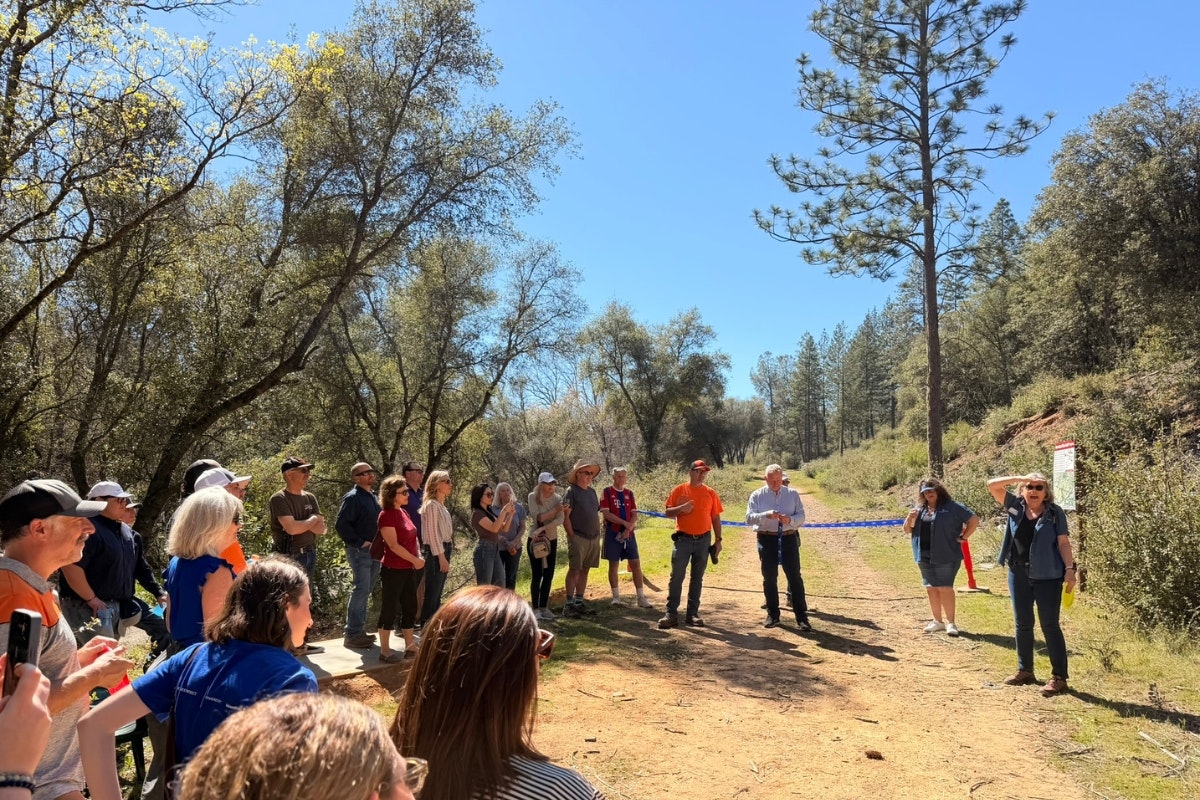 A group of people gathered outdoors in a wooded area, possibly for an event or announcement, under clear blue skies.