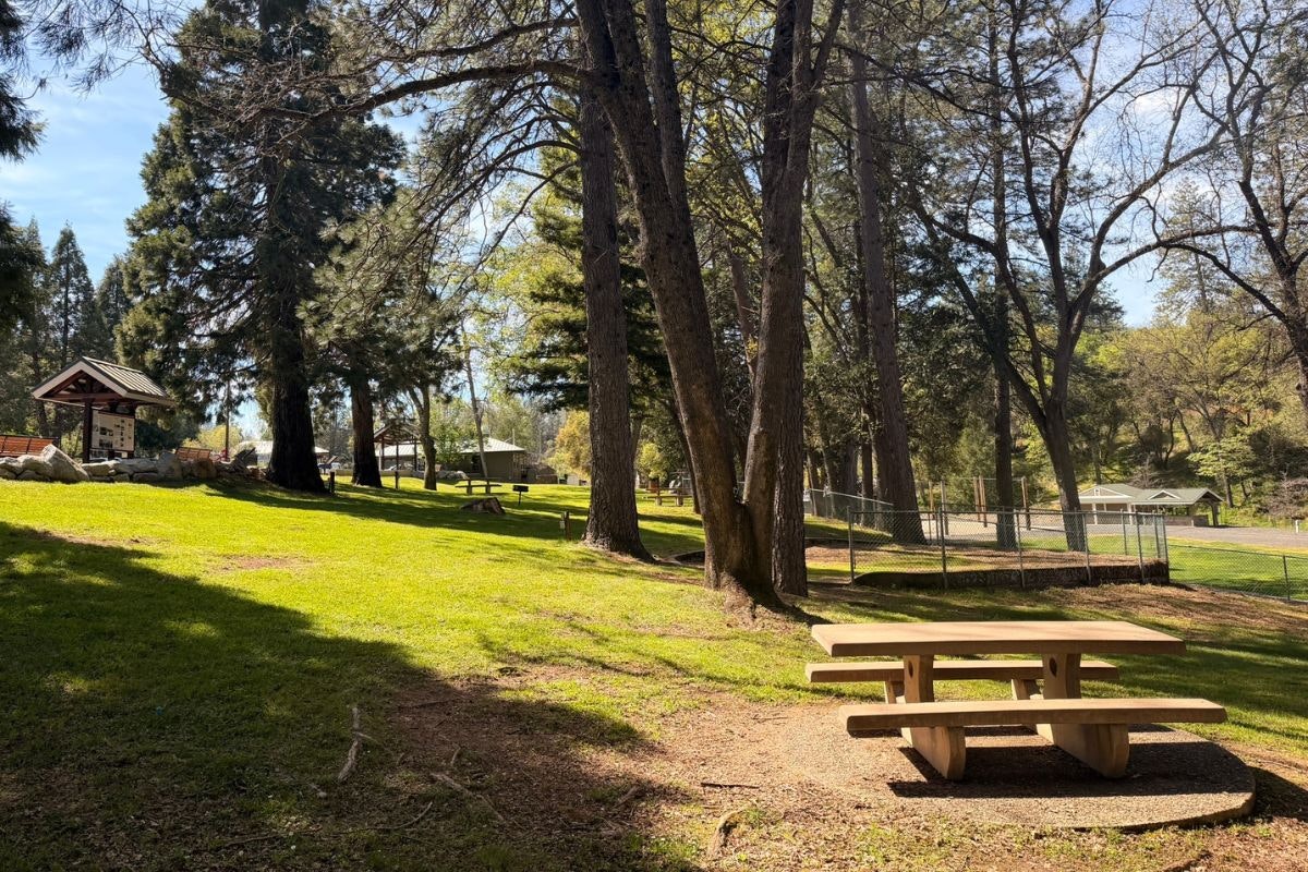 A serene park scene with tall trees, a picnic table, and a baseball field in the background, under a clear blue sky.
