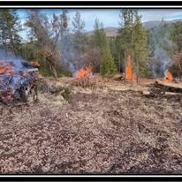 The image shows a forested area with visible flames and smoke, indicating a controlled burn or wildfire activity.