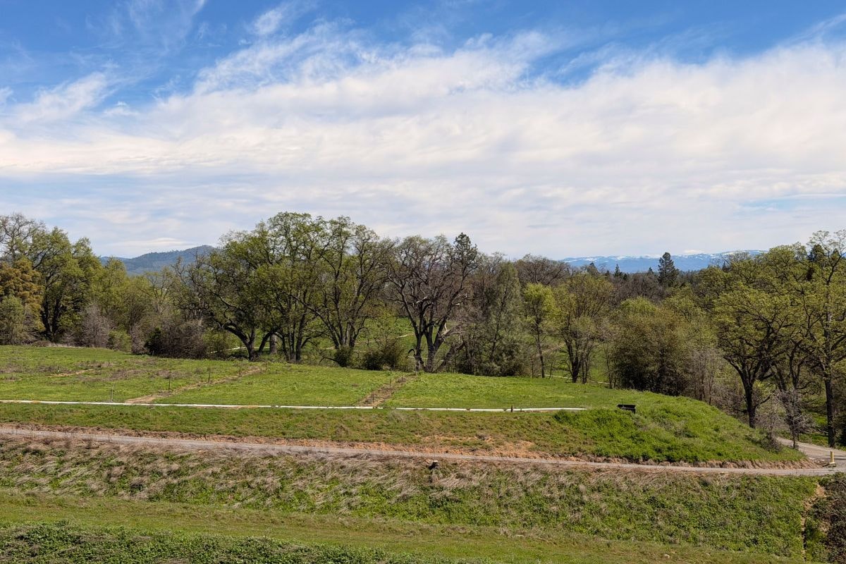 A tranquil landscape featuring lush greenery, trees, a dirt path, and a blue sky with clouds, set against distant mountains.