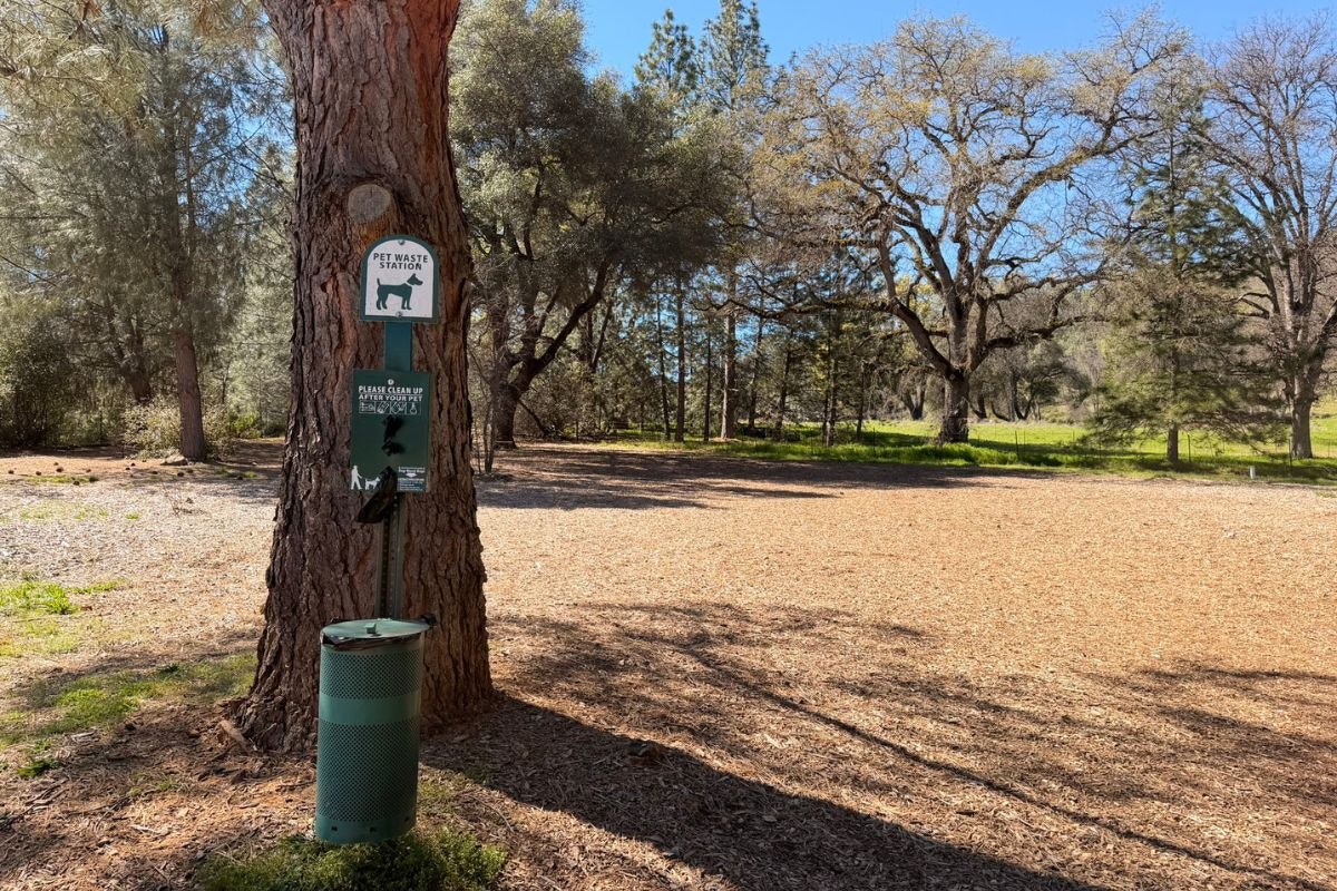 A pet waste station with signs in a park, next to a trash bin, surrounded by trees and a mulch-covered ground.