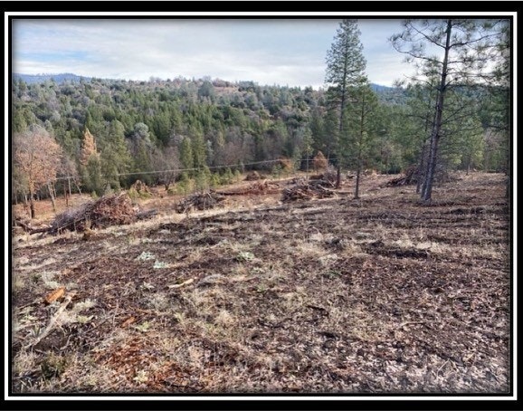 A landscape showing a cleared area with cut trees and brush alongside a forested hillside, under a cloudy sky.