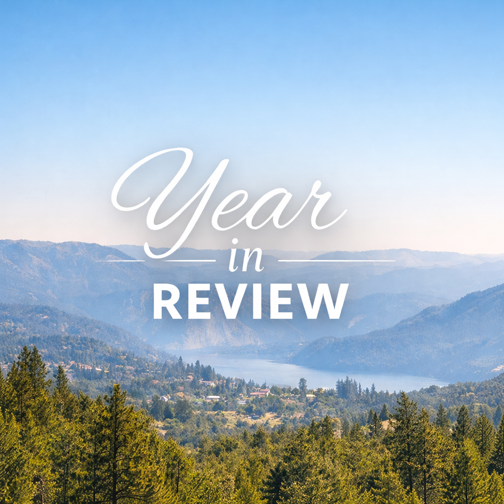 The image features a scenic view of mountains and a lake, with the text overlay "Year in Review."