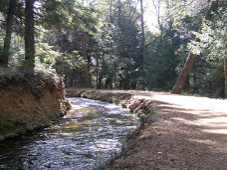 May contain: water, outdoors, nature, stream, creek, path, vegetation, and plant
