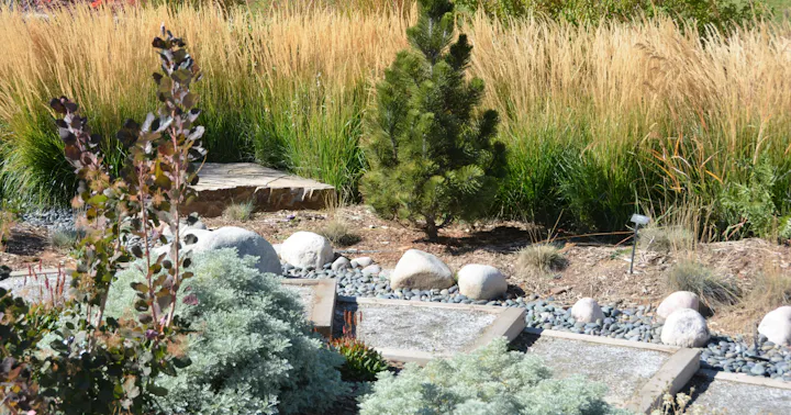 The image shows a landscaped area with tall grass, a small pine tree, various rocks, and shrubs. It features a stone path and plants.