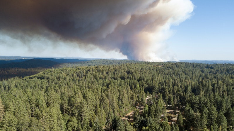 A dense forest landscape with a large plume of smoke rising, indicating a wildfire.