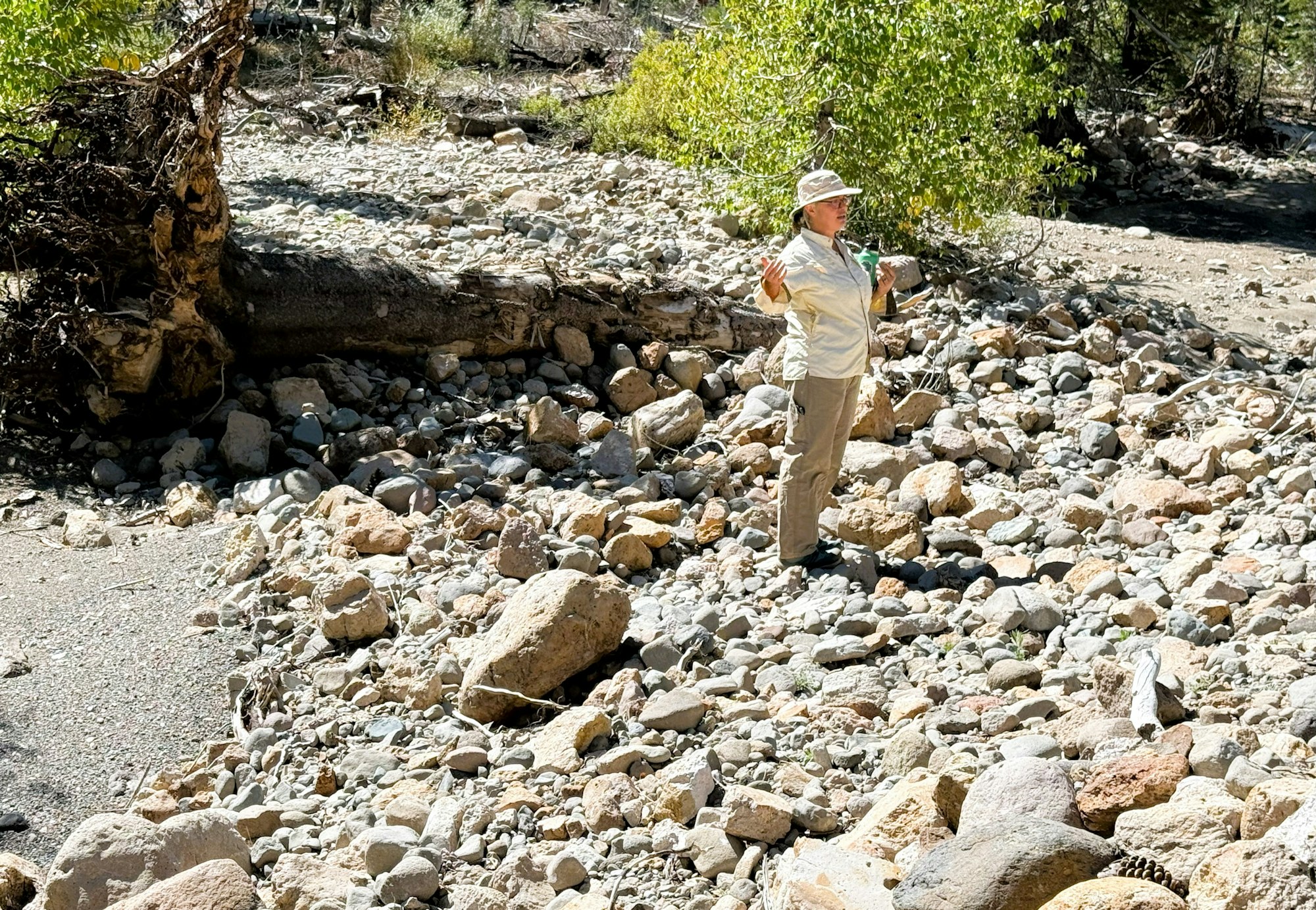 Person in outdoor attire standing on rocky terrain next to a fallen tree, surrounded by trees and sunlight.