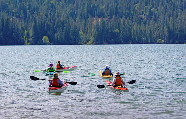 A group of people kayaking on a lake surrounded by trees, enjoying a sunny day outdoors.