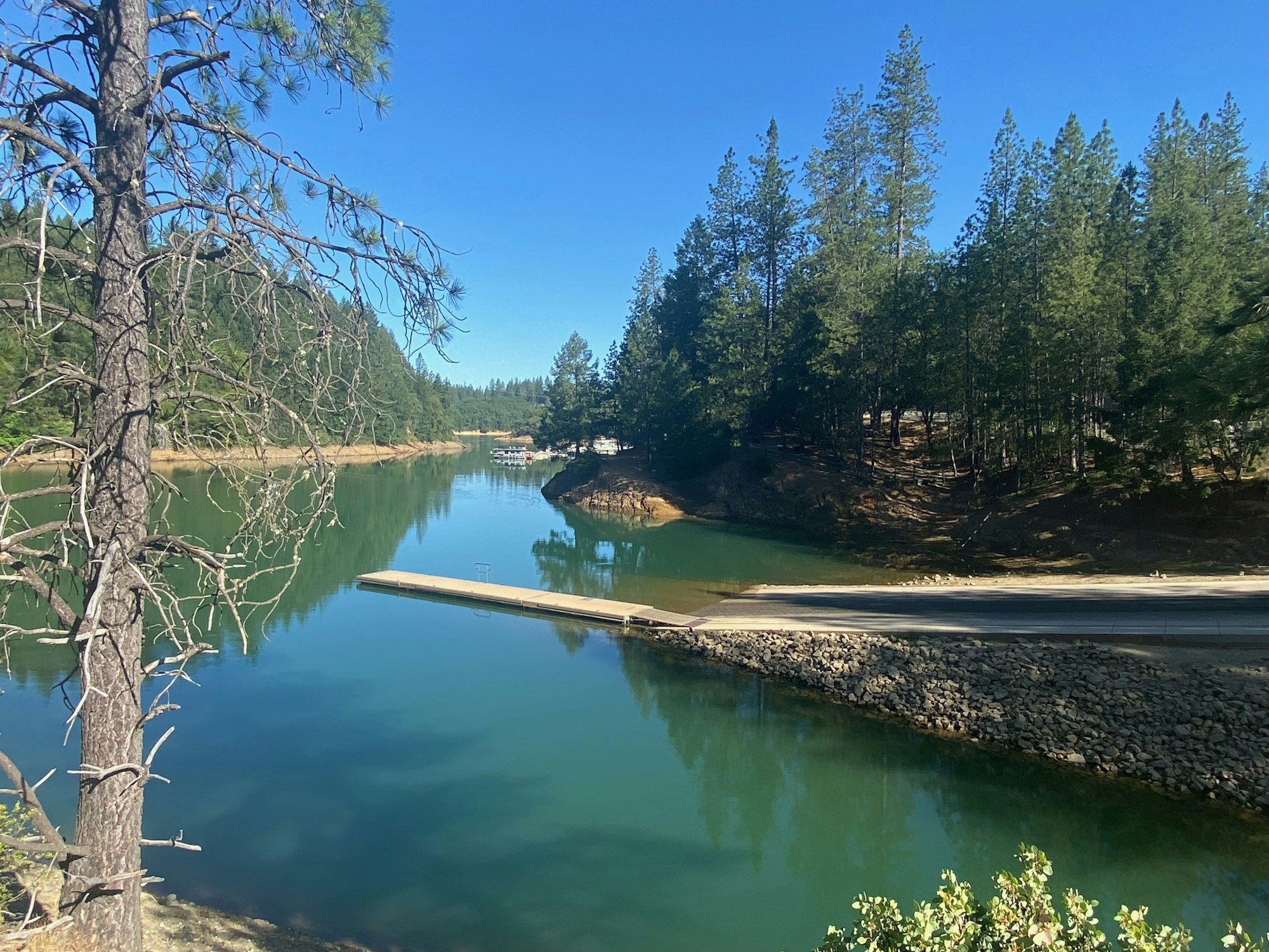 A tranquil lake scene with a boat dock, surrounded by pine trees under a clear blue sky.