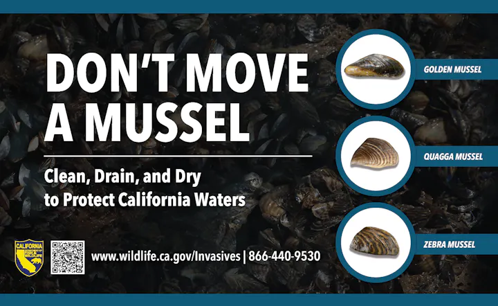 "Don’t Move a Mussel" poster urging cleaning, draining, and drying to protect California waters from invasive mussel species.