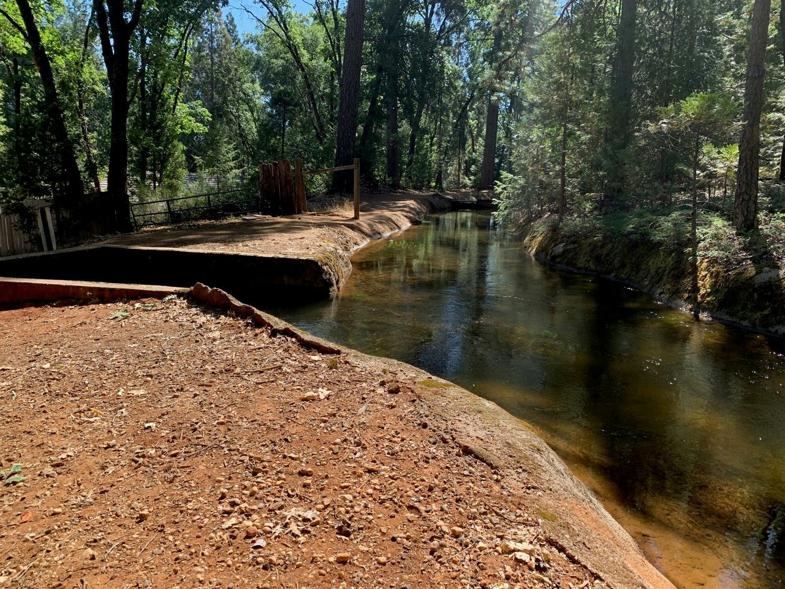 A serene forest scene with a narrow stream flowing, surrounded by trees and a dirt path.