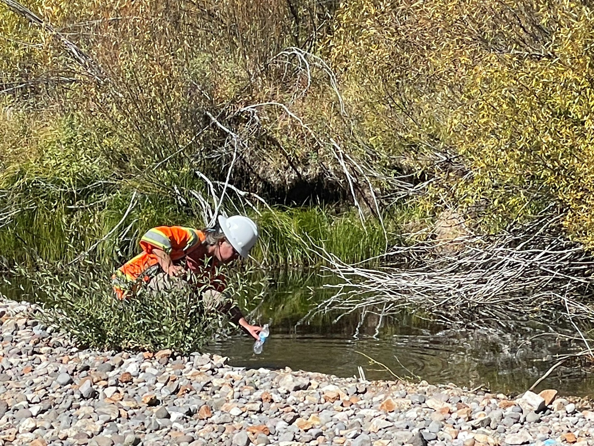 A person in a hard hat and safety vest collects water from a stream surrounded by vegetation.
