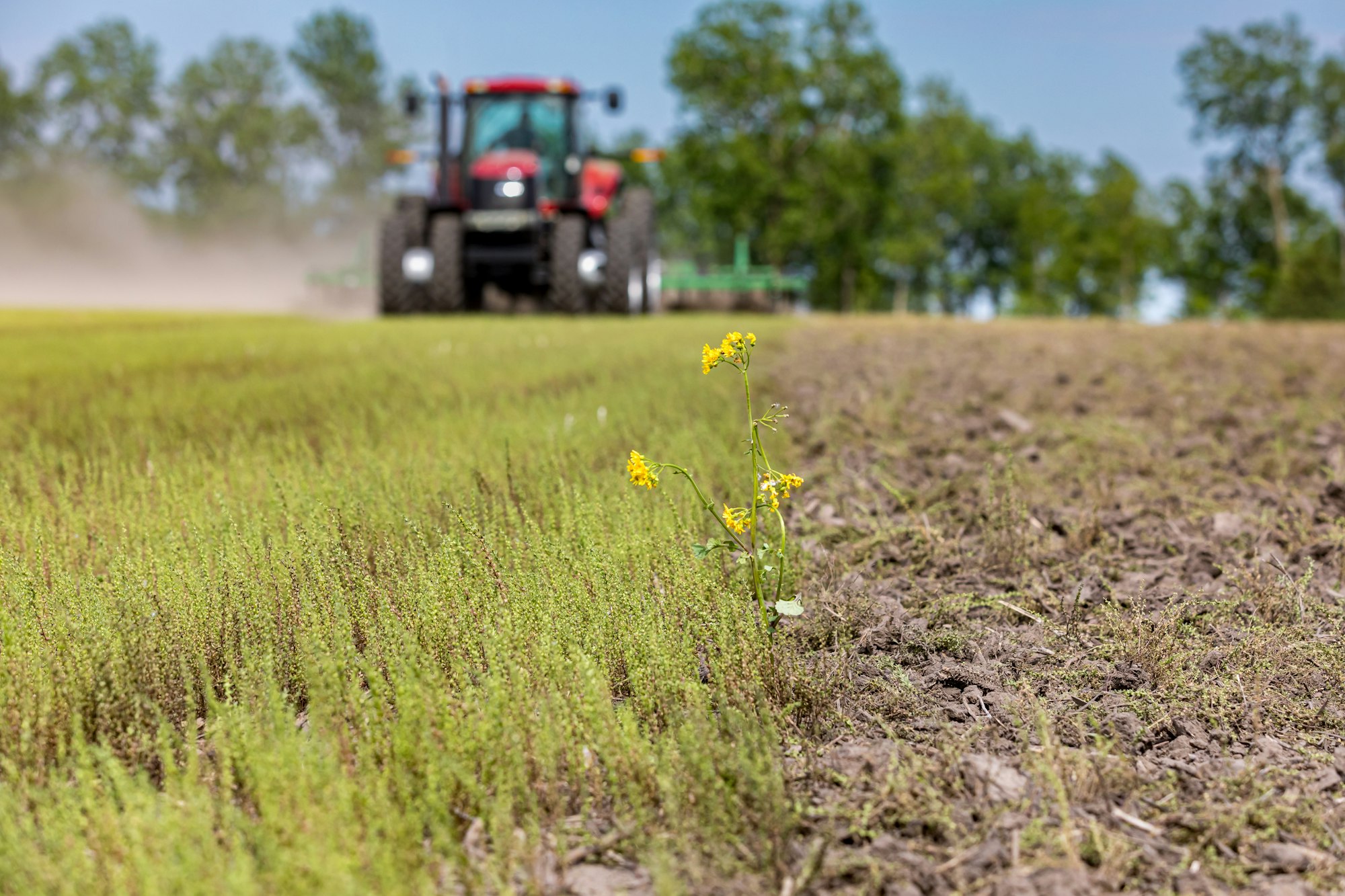 drip farmer practicing conservation tillage