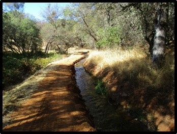 May contain: outdoors, nature, wilderness, path, ditch, trail, plant, vegetation, and water