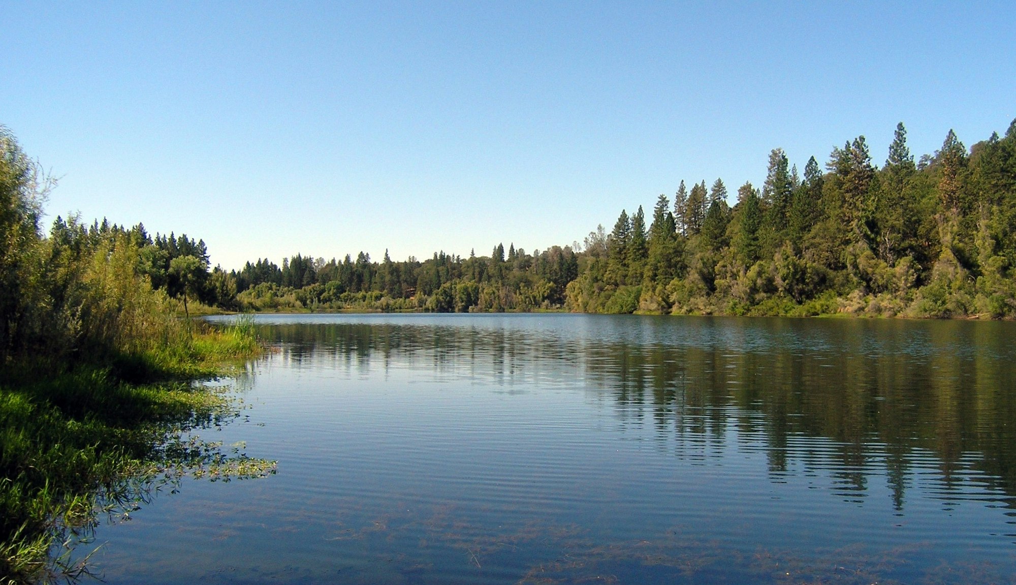 May contain: water, nature, outdoors, lake, fir, plant, abies, and tree