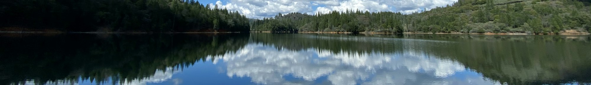 A serene lake reflecting trees and clouds, surrounded by lush greenery, creating a tranquil natural landscape.