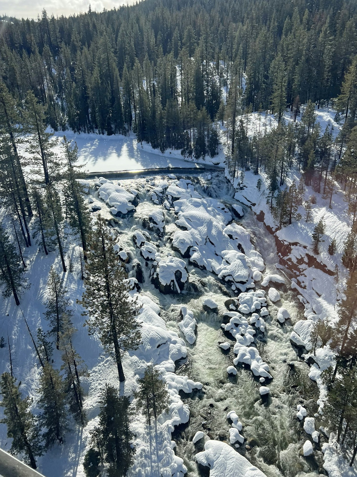 May contain: tree, plant, fir, conifer, vegetation, ice, scenery, outdoors, nature, pine, and wilderness