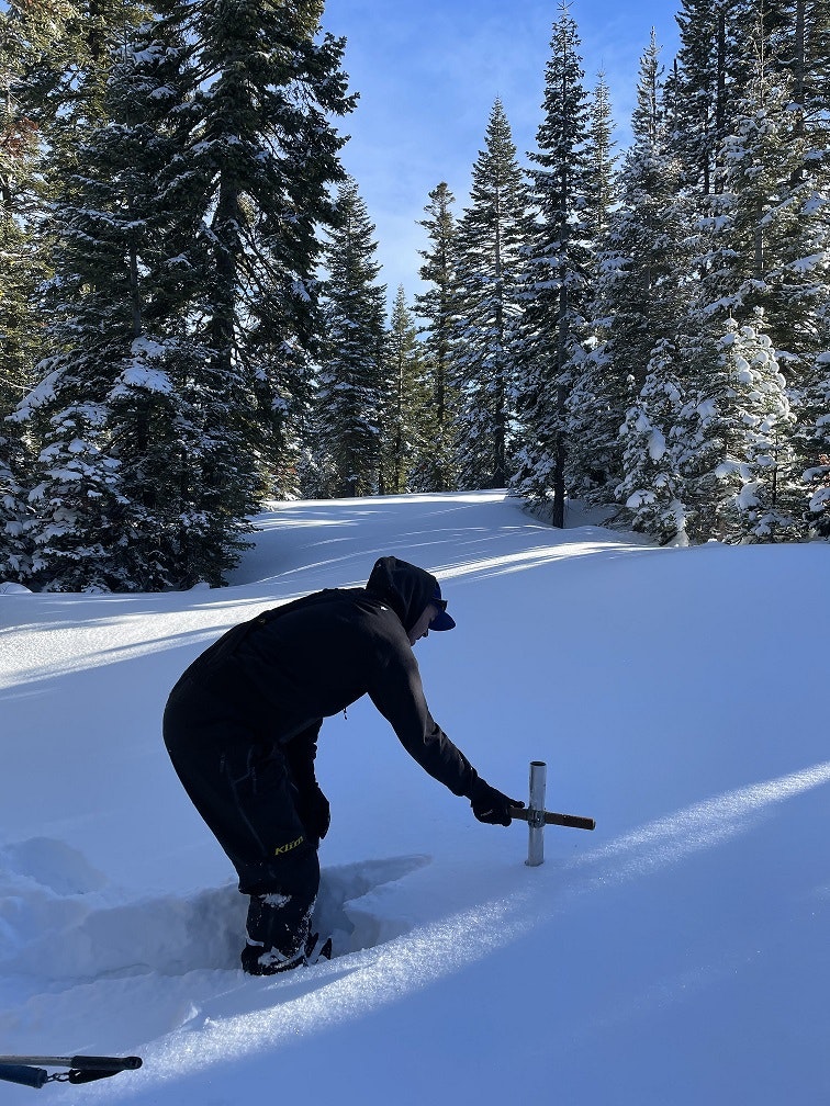 May contain: nature, outdoors, fir, abies, tree, plant, person, human, snow, piste, sport, and sports