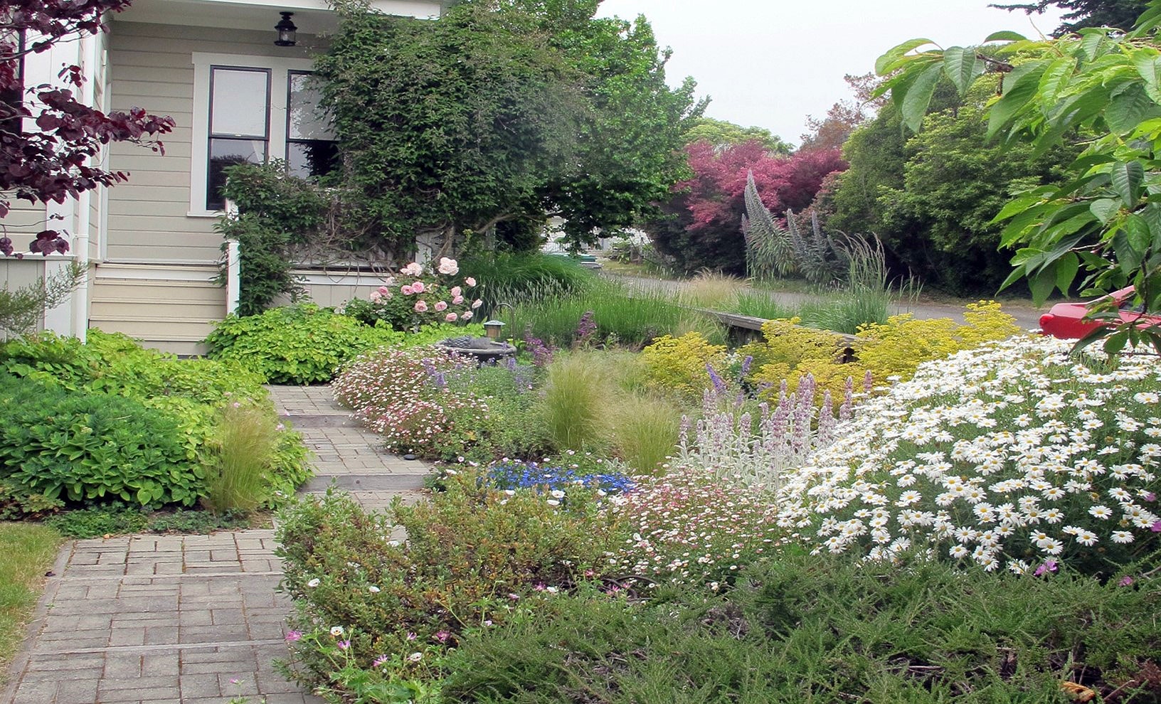 A lush garden with a variety of colorful flowers and plants alongside a house.