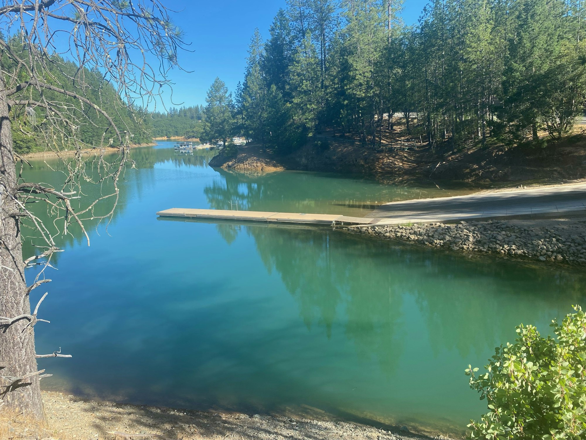 A serene lake with trees, clear skies, and a small floating dock.