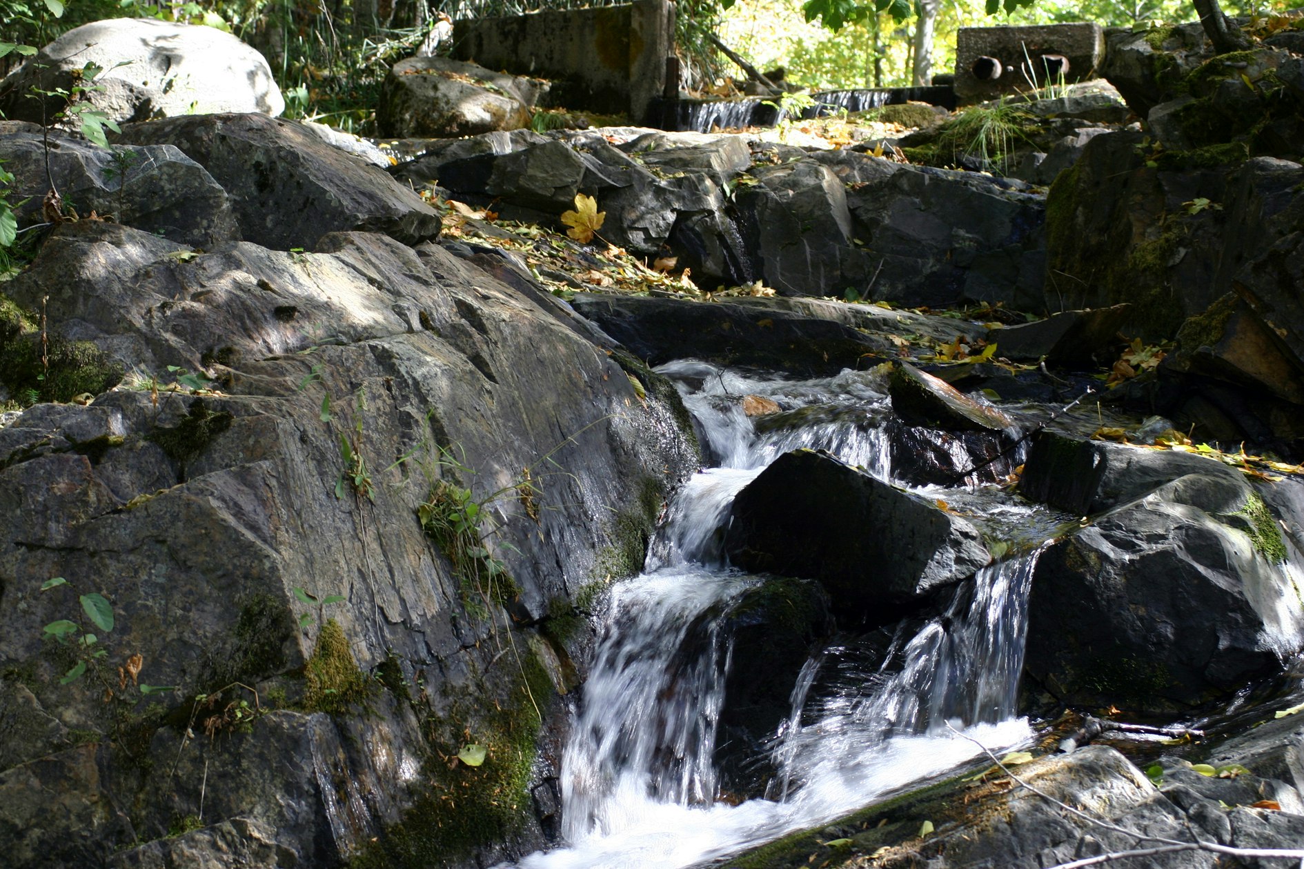 A tranquil scene featuring flowing water over rocks, surrounded by lush greenery and fallen leaves, suggesting a peaceful nature setting.