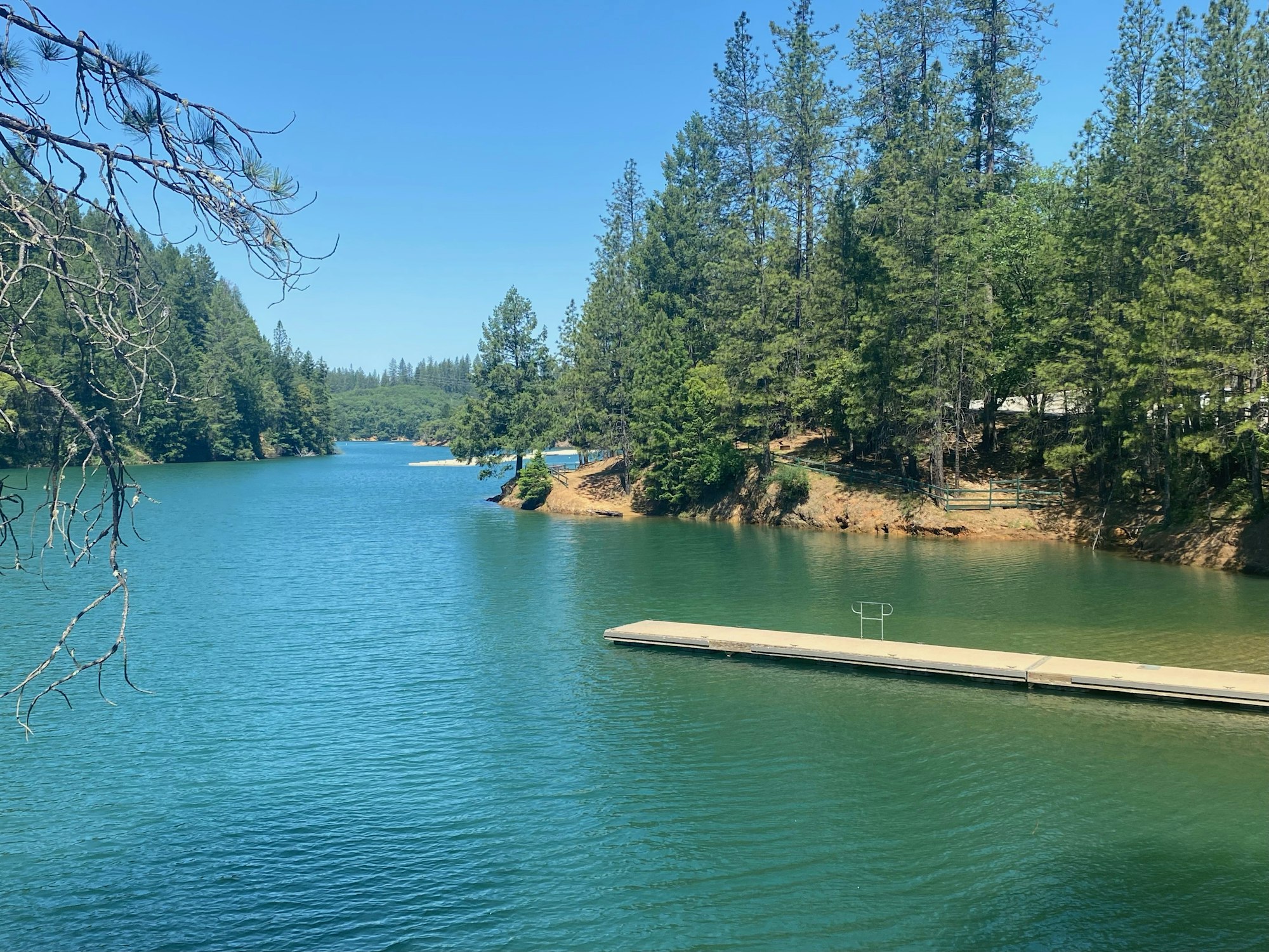A serene lake with a dock, surrounded by pine trees under a clear blue sky.
