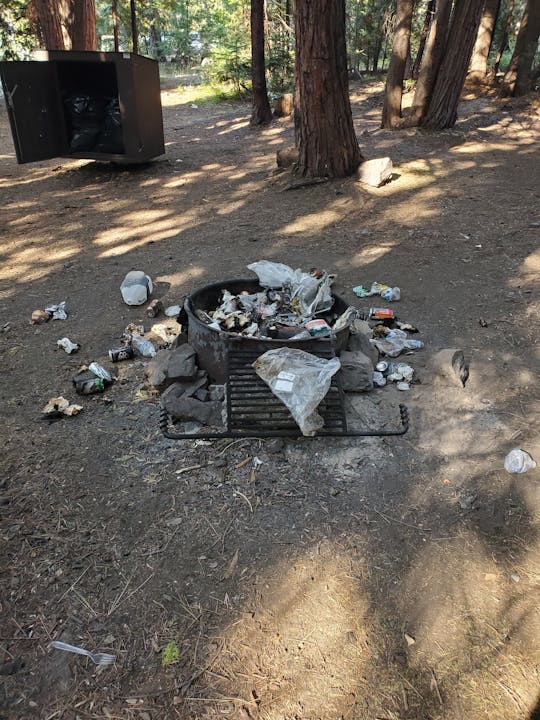 An overflowing trash bin in a forested area with litter scattered around, and another empty bin nearby.