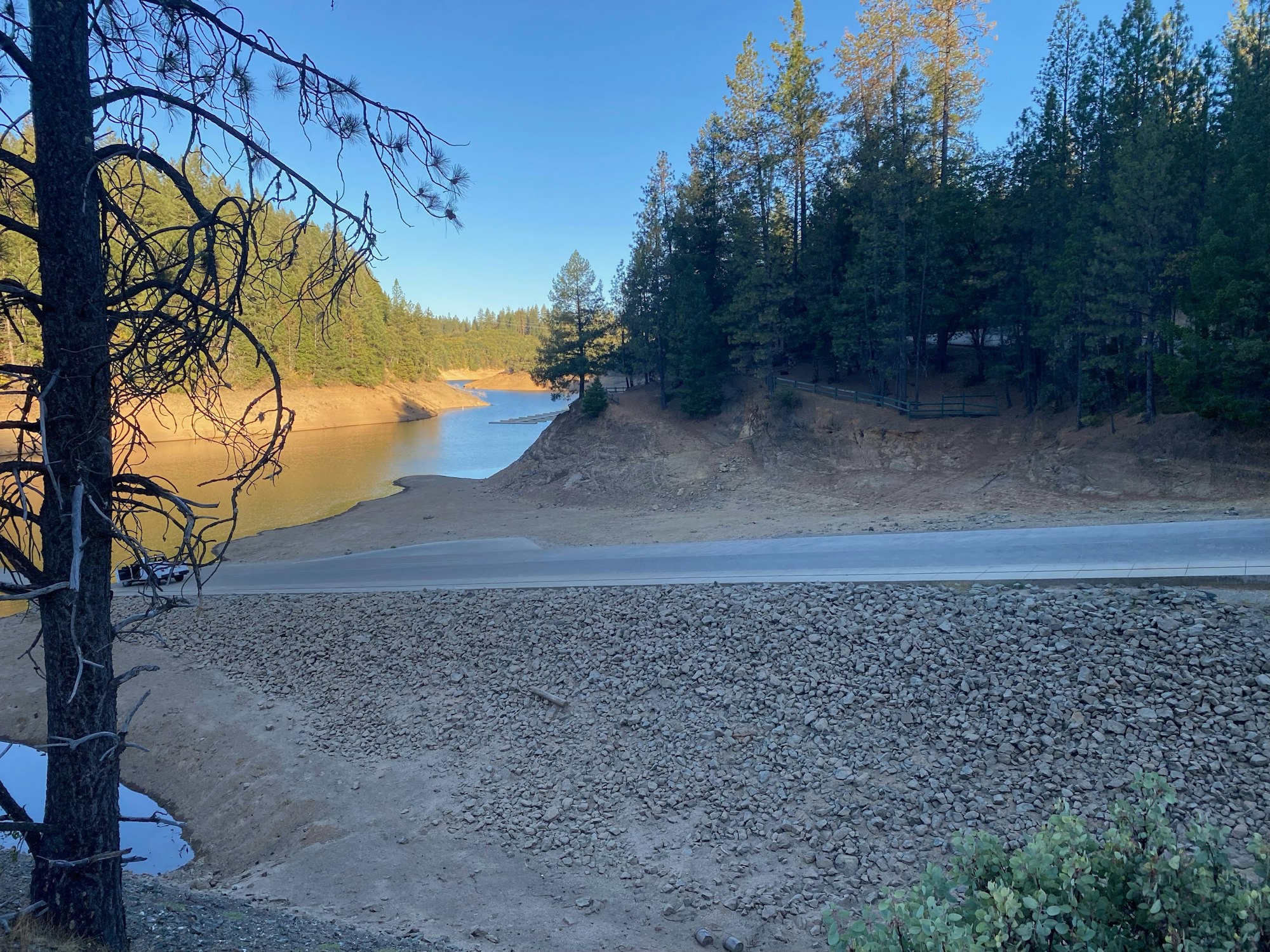 A tranquil setting with a road, a dried-out lakebed, trees, and clear skies.