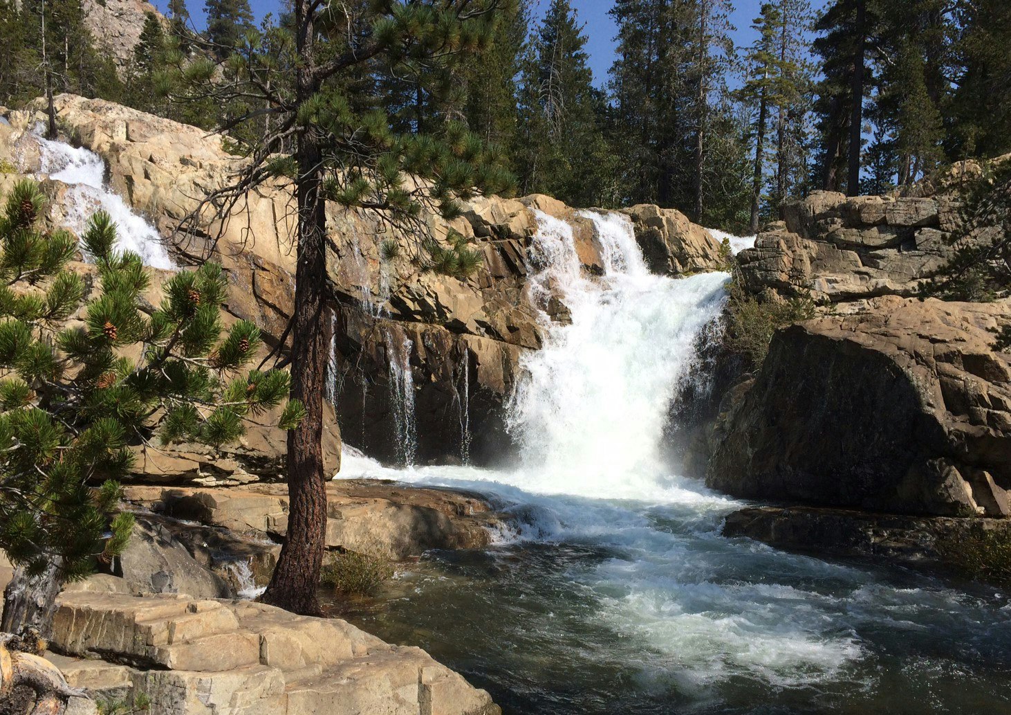 A waterfall cascades over rocks surrounded by pine trees and a clear blue sky.