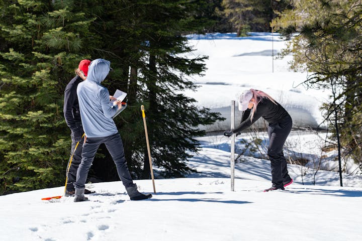 Three people in snowy woods, taking measurements with a snow probe and recording data.