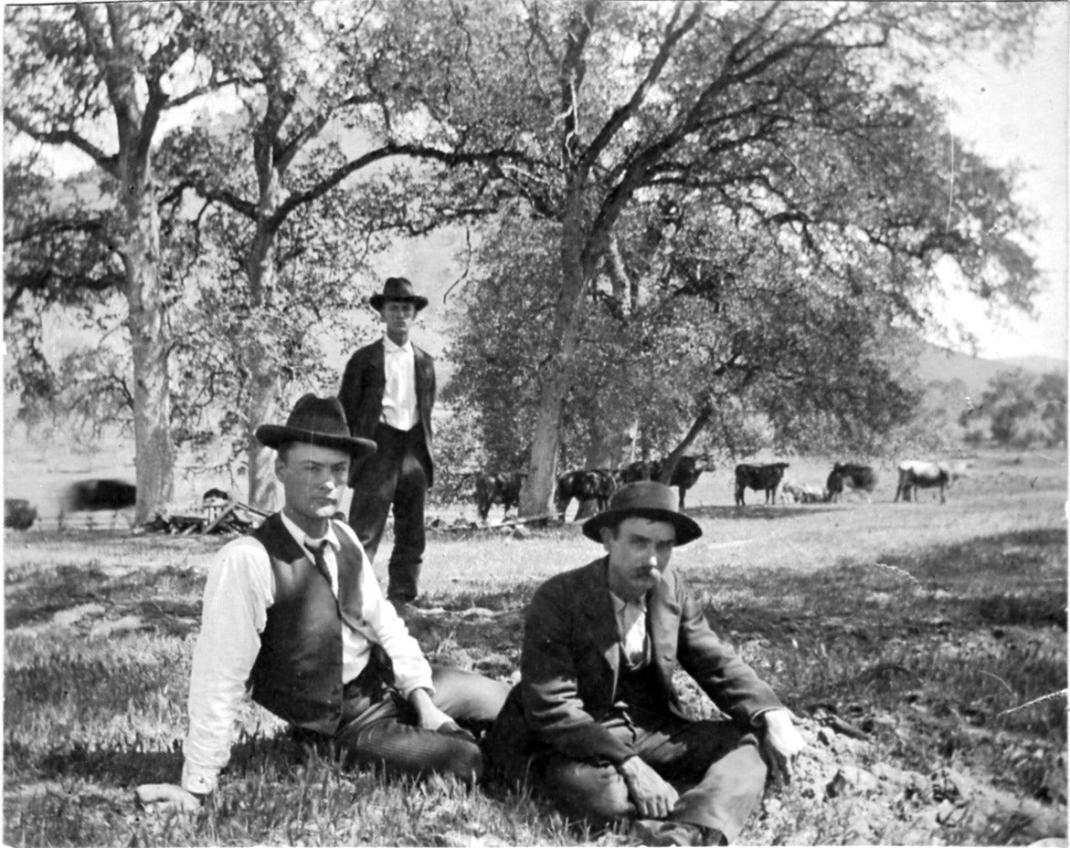 Three men in hats and suits sit and stand in a grassy area with trees and cattle in the background.
