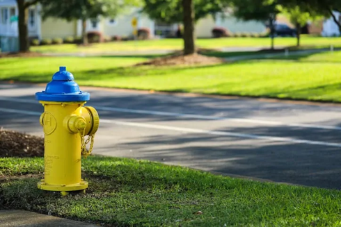 May contain: fire hydrant and hydrant