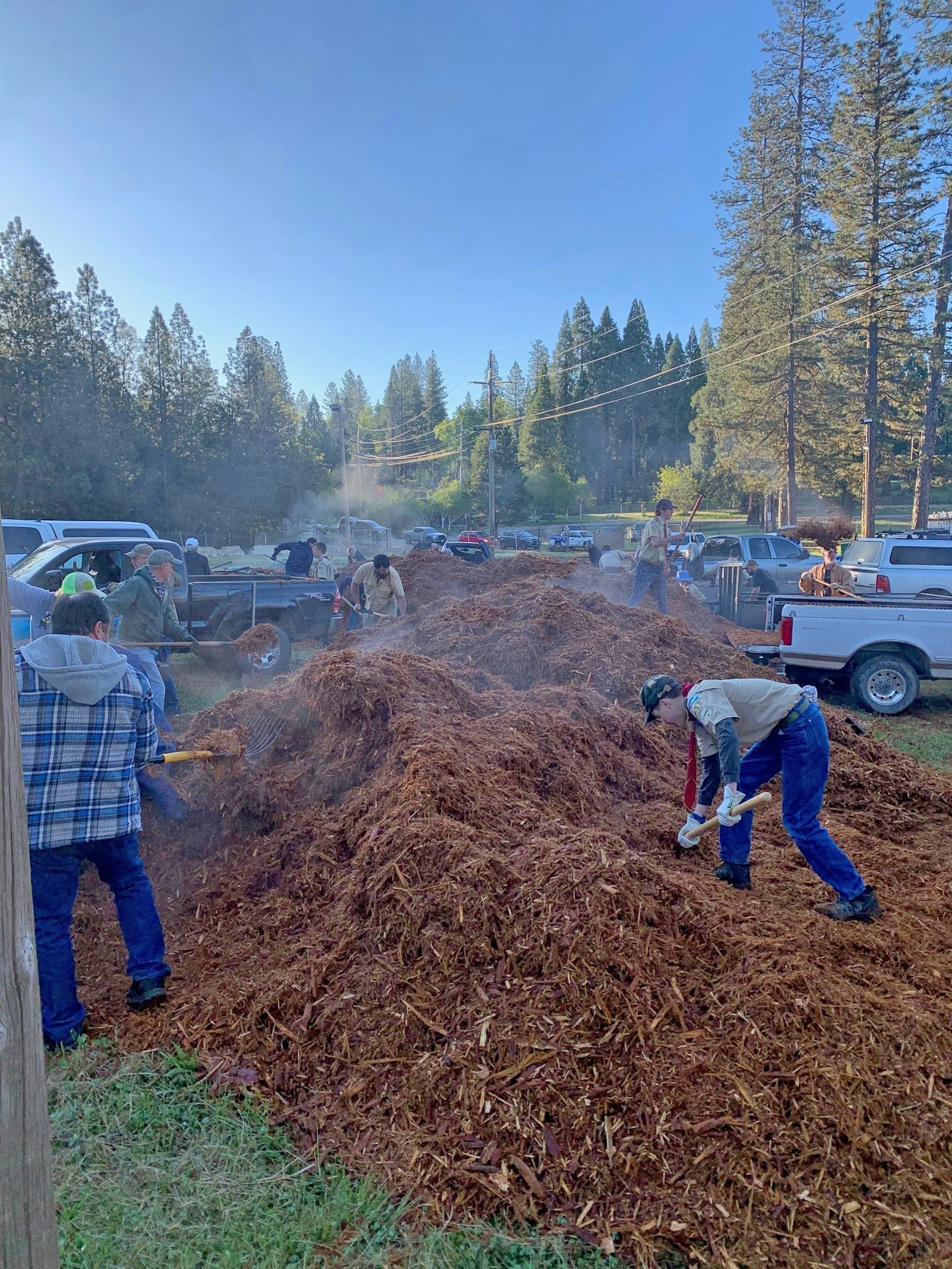 People working on a large pile of wood chips, with trucks and trees in the background.
