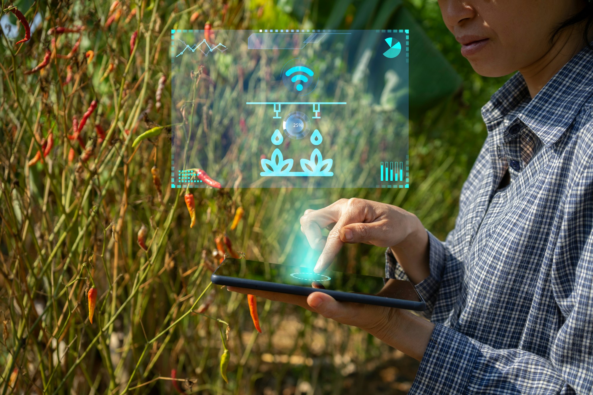 farmer managing irrigation schedule