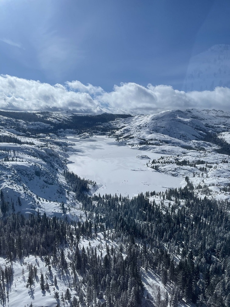 May contain: nature, outdoors, mountain, tree, plant, fir, abies, and ice