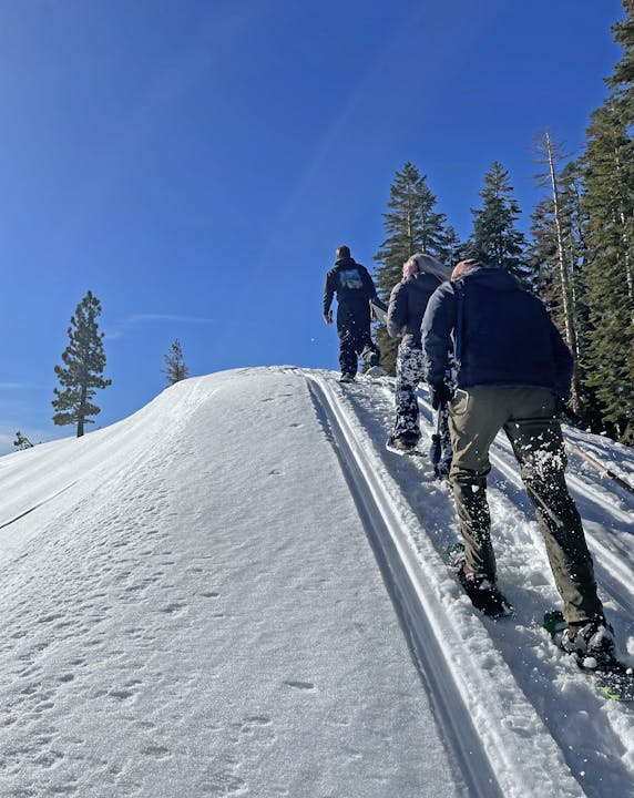 People hiking in snow, clear blue sky, pine trees around.