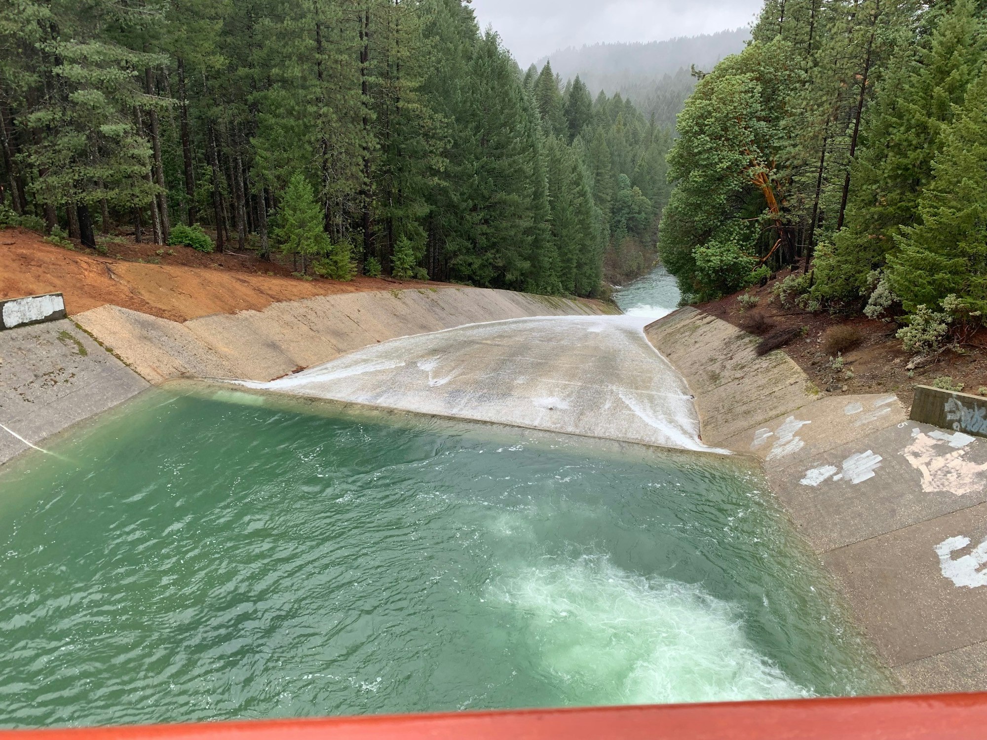 A concrete water channel flows through a forest, surrounded by greenery, with visible water currents and a misty atmosphere.
