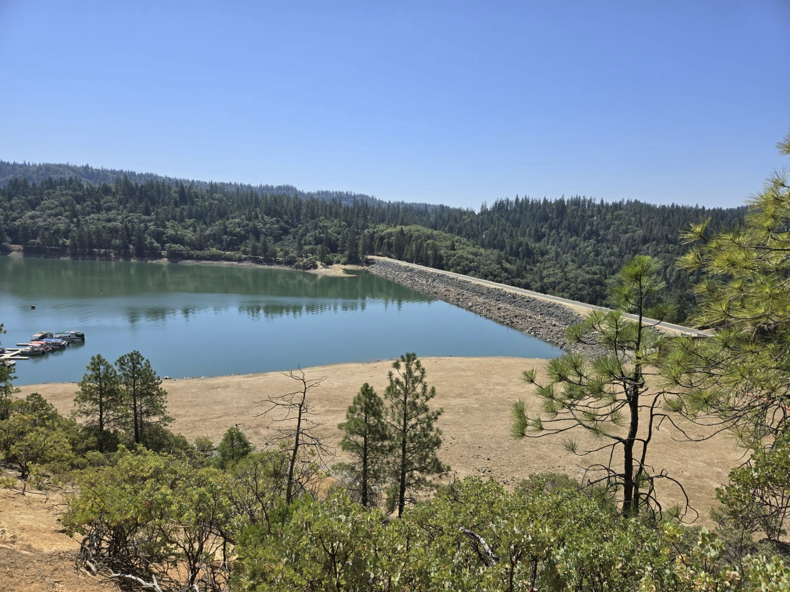 A lake, dam, pine trees, clear sky, a dock with boats, and forested hills.