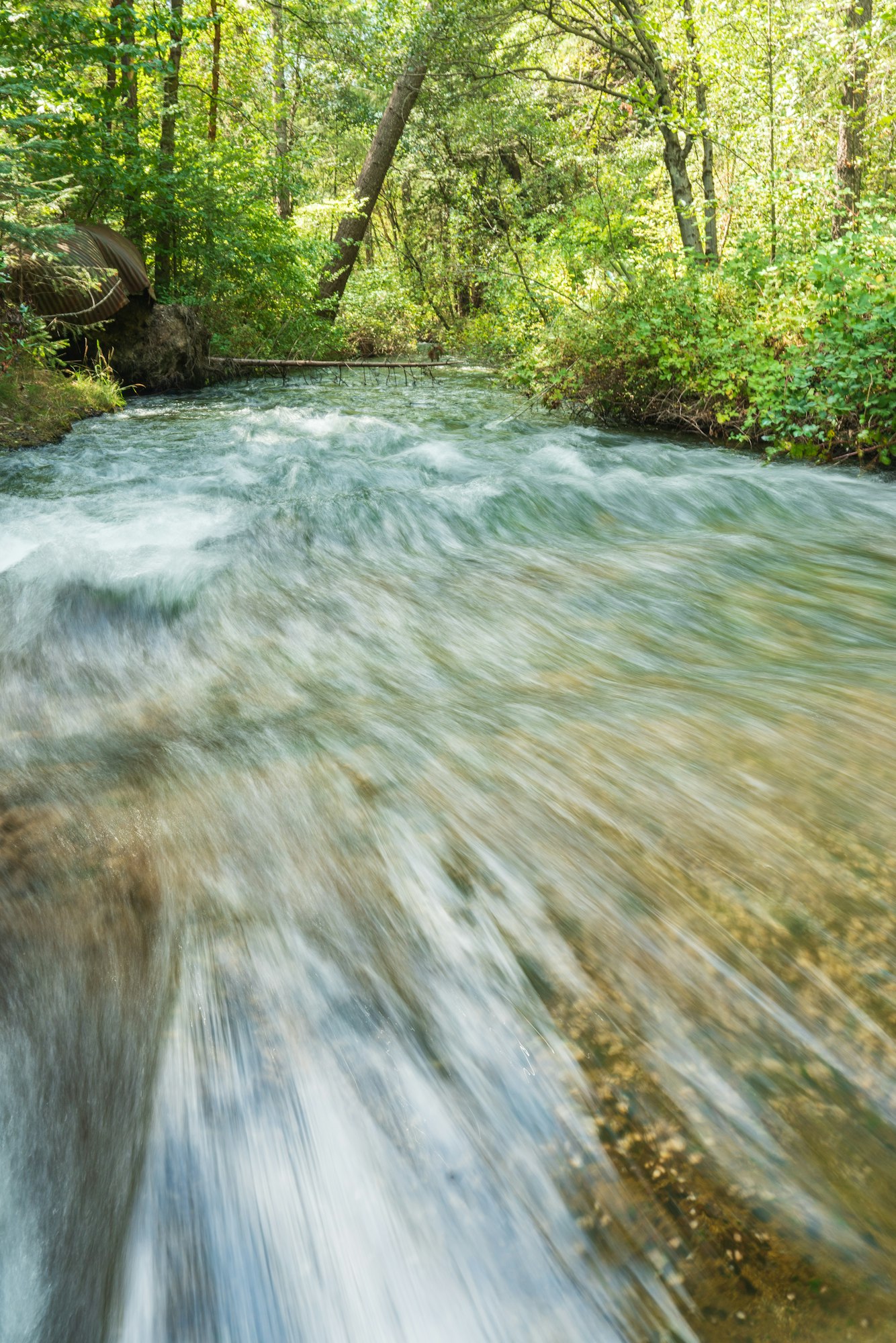 May contain: nature, outdoors, water, stream, plant, vegetation, creek, land, tree, woodland, jungle, and scenery