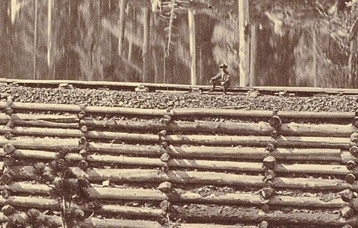 A person sitting on a log structure beside a railway track, surrounded by trees.