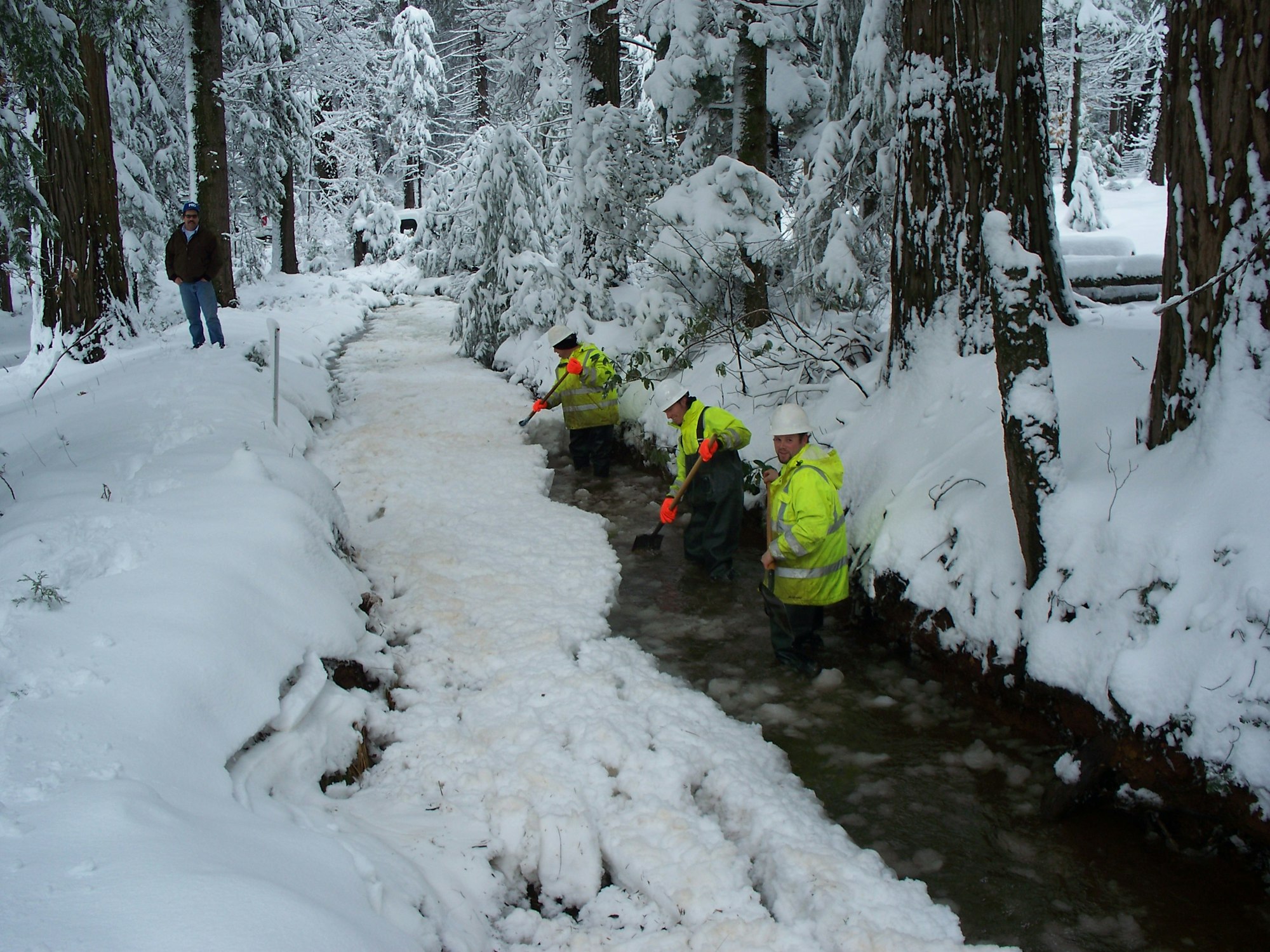 Four people in bright jackets working in a snowy forest stream, while one person observes from the side. Snow covers the ground.