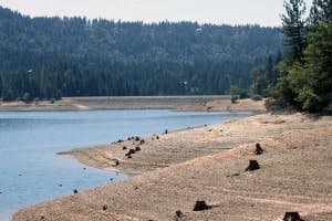 The effects of the drought as water levels drop low at Scotts Flat.