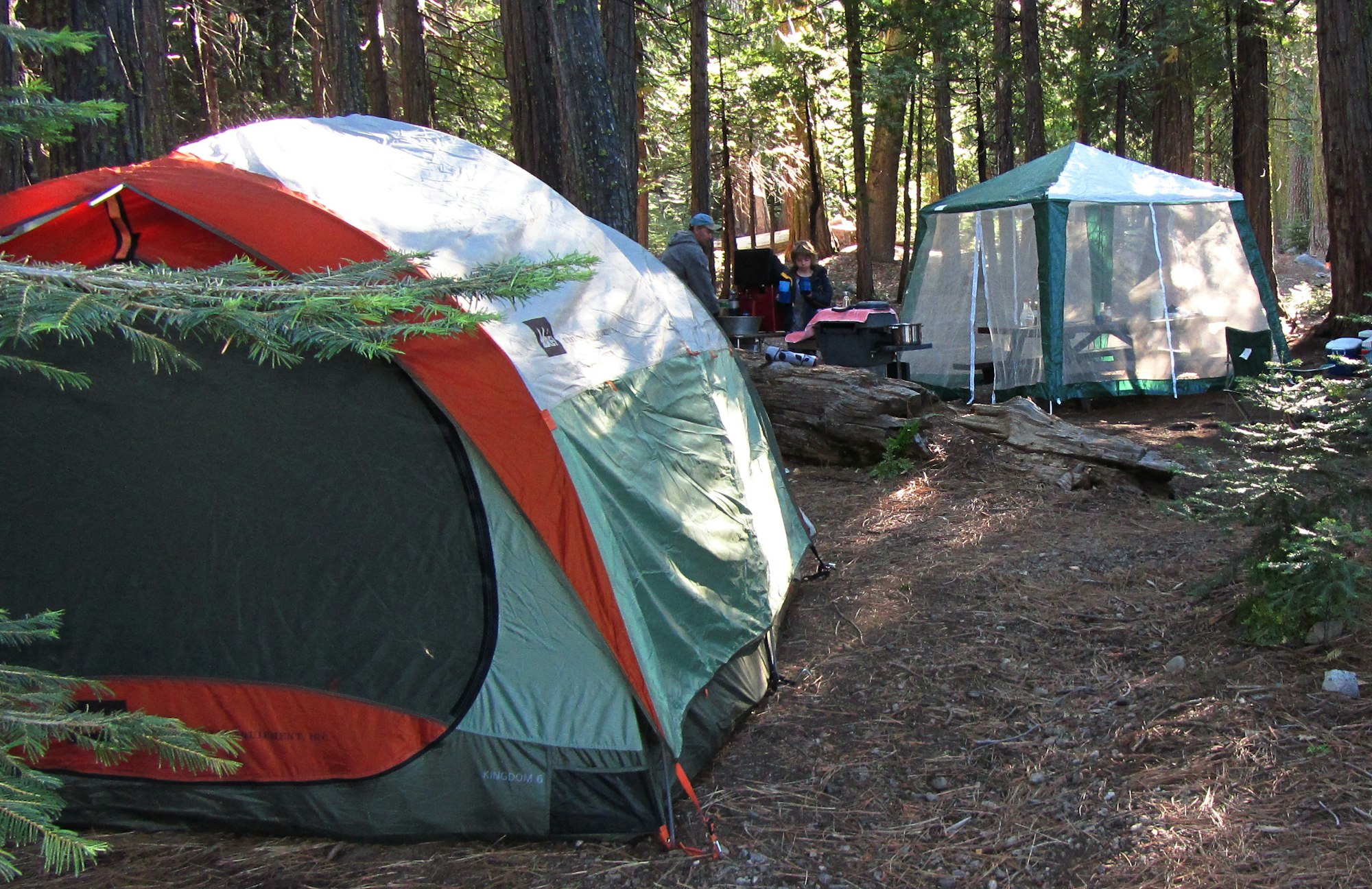 Tents set up at a campsite.