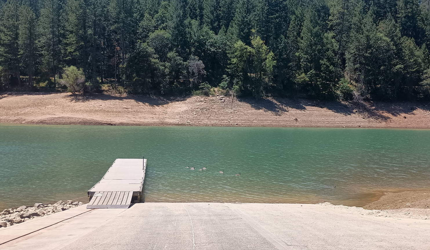 A dock on a lake with ducks swimming, surrounded by trees and a dirt shoreline.